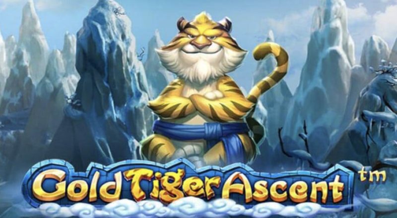 Gold-Tiger-Ascent