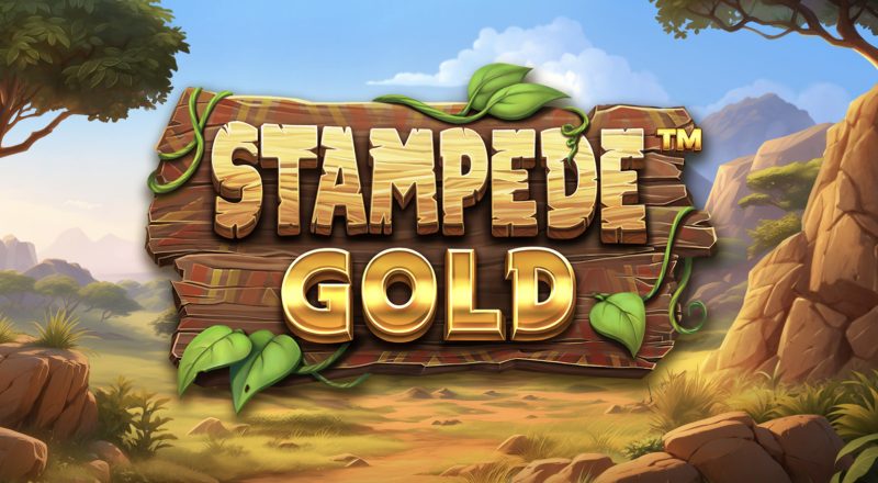 stampede-gold